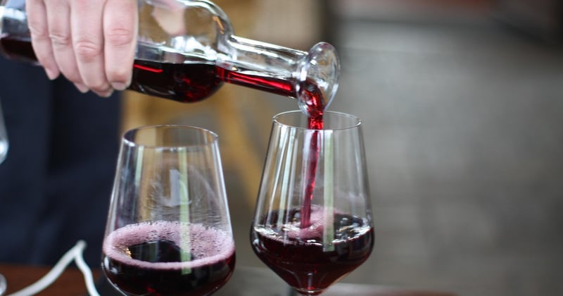 Vin et longévité : ce que dit vraiment la science sur la consommation modérée