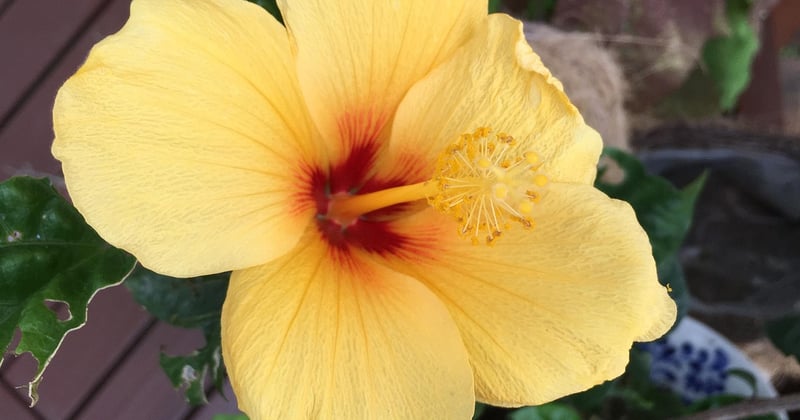 Découvrez les nouvelles tendances de la cuisine : ce qui change cette année