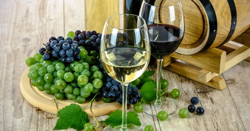 Découvrez les meilleures applications mobiles pour identifier les vins de château